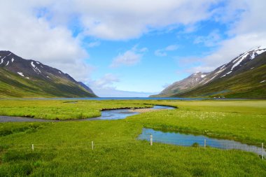 Mavi derenin güzel manzarası fiyorda akıyor yazın Hedinsfjordur, İzlanda yakınlarında karlı dağlarla çevrili.