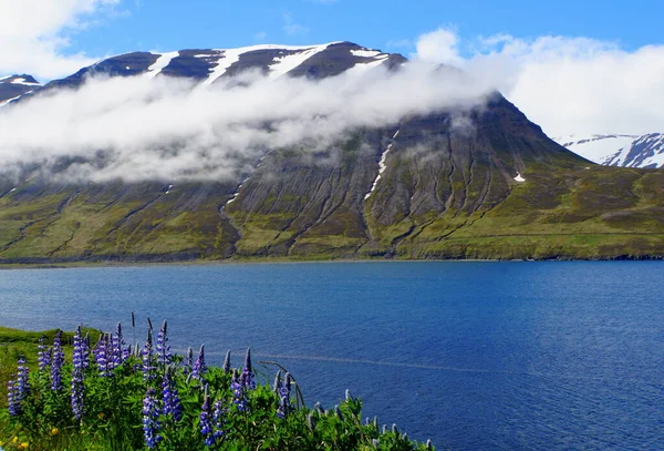 アイスランドのOlafsfjordur近くのフィヨルドに沿って部分的に覆われた雪の山の壮大な景色 — ストック写真