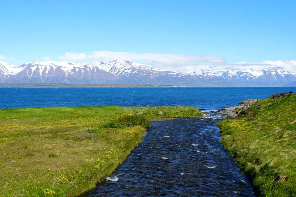 Piękny Niebieski Potok Widokiem Częściowo Pokrytą Śnieżną Górę Fiord Lecie — Zdjęcie stockowe