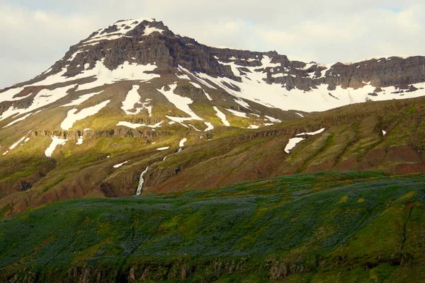 Vista Panorámica Montaña Parcialmente Nevada Con Flores Altramuz Cerca Seydisfjordur — Foto de Stock