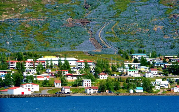 在冰岛的Faskrudsfjordur附近 夏天的景象是这样的 建筑物 住宅和美丽的高山上挂满了蓝色的丁香花 — 图库照片