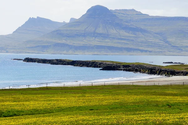 Widok Zielony Krajobraz Formacje Skalne Klify Nad Oceanem Pobliżu Fiordów — Zdjęcie stockowe