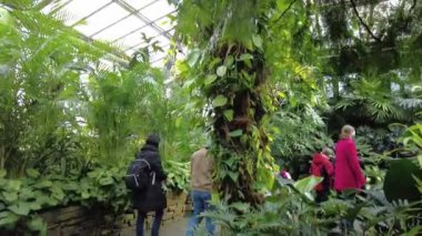 Maske takan ziyaretçiler, Kenneth Square, Pennsylvania, ABD yakınlarındaki çeşitli tropik yeşil bitkilerle birlikte bahçede eğleniyorlar.