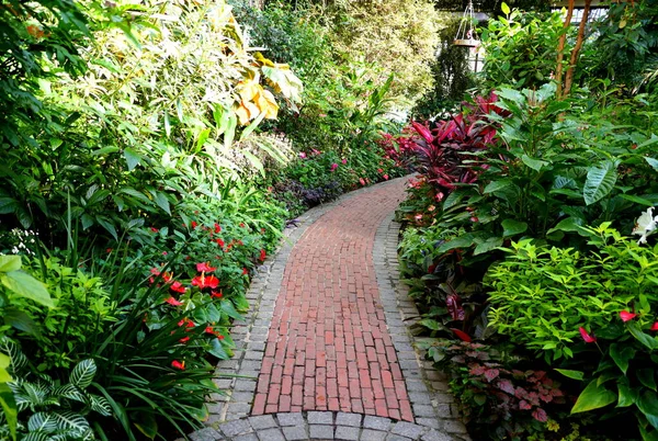 Brick Path Garden Variety Tropical Plants Flowers — Stock Photo, Image