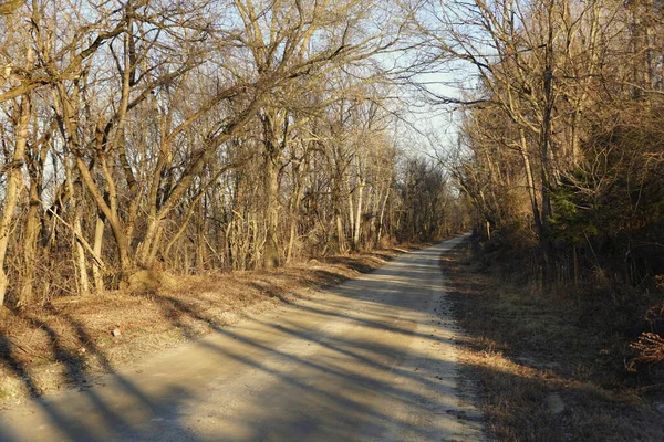 Vista Carretera Vacía Con Árboles Muertos Cerca Chesapeake City Maryland — Foto de Stock