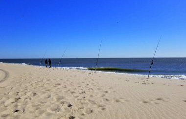 Güneşli bir günde Delaware Körfezi 'nde sörf çubuklarıyla kumsal.