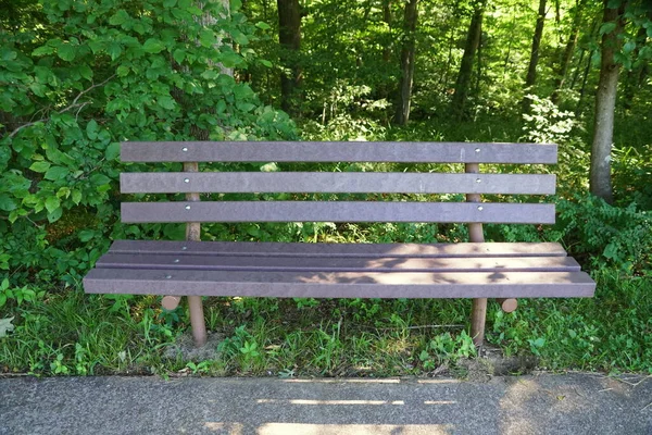 Empty Wooden Bench Surrounding Green Trees — Stock Photo, Image