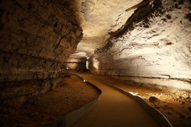 Kentucky, ABD yakınlarındaki Mamut Mağara Ulusal Parkı 'nın içindeki büyük yürüyüş yolu.
