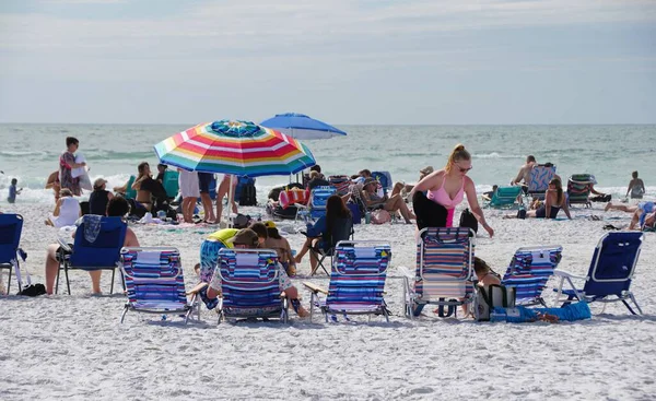 Siesta Key Beach, Florida, ABD - 3 Ocak 2026 - Sahile gidenler renkli şemsiyeler altında ve yoğun, geniş bir sahil şeridinde hafif dalgalarla çizgili şezlonglarda dinleniyorlar.