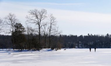 İki kişi ve bir köpek donmuş gölde yürür. Greenlane Reservoir yakınlarındaki sakin bir kış manzarasına hayat katar. Pennsburg, Pennsylvania, ABD.