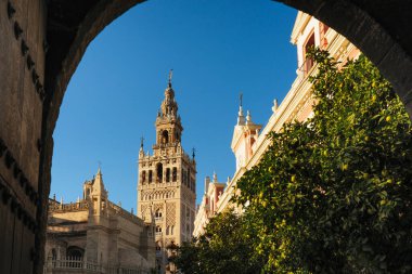Giralda Kulesi ve Giraldillo 'nun Sevilla, Endülüs, İspanya' daki Royal Alcazar kemerinden görüntüsü