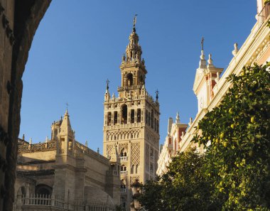 Giralda Kulesi ve Giraldillo 'nun Sevilla, Endülüs, İspanya' daki Royal Alcazar kemerinden görüntüsü