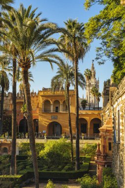 Royal Alcazar Gardens in Seville, Jardines Real Alcazar en Sevilla with the Giralda clipart