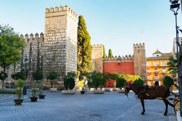 Vista Exterior Alcazar Real Sevilha Com Cavalo — Fotografia de Stock