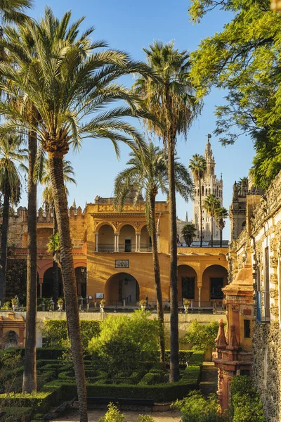 Jardins Royal Alcazar Sevilha Jardines Real Alcazar Sevilha Com Giralda — Fotografia de Stock