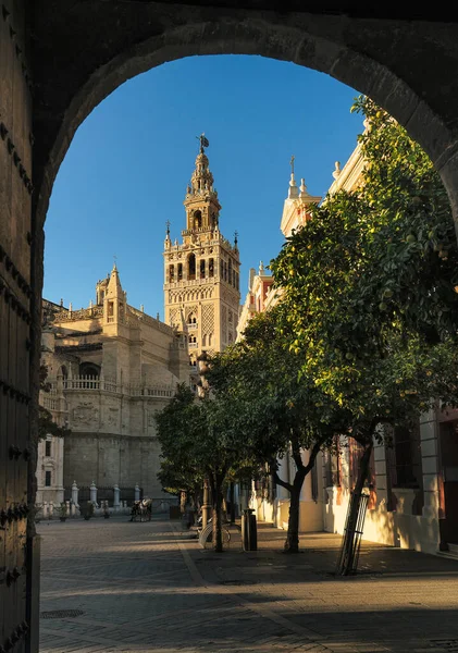 Vista Torre Giralda Giraldillo Arco Royal Alcazar Sevilha Andaluzia Espanha — Fotografia de Stock