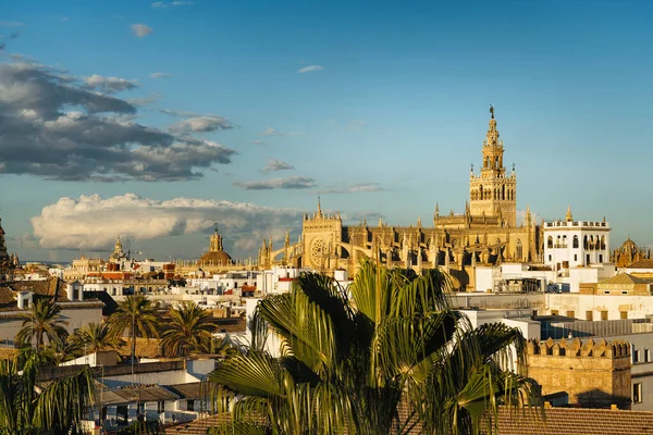 Vista Aérea Catedral Sevilha Giralda Sevilha Espanha — Fotografia de Stock