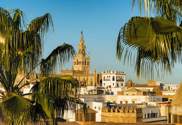 Vista Panorâmica Catedral Sevilha Giralda Sevilha Espanha — Fotografia de Stock