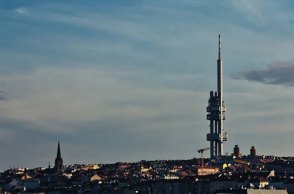 Torn Prag Hårt Höstljus — Stockfoto