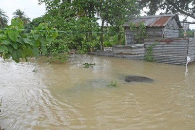 Burdwan Kasabası, Purba Bardhaman Bölgesi, Batı Bengal / Hindistan - 31.07.2021: Burdwan şehrinin çok sayıda bölgesi şiddetli yağmurlar ve Banka nehir suyu tarafından sular altında kaldı.