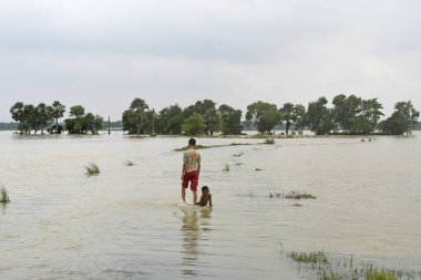 Burdwan, Purba Bardhaman İlçesi, Batı Bengal / Hindistan - 01.08.2021: Purba Bardhaman ilçesinin çeşitli bölgelerinde tarım arazisi yağmurlar ve Banka nehir suları tarafından sular altında kaldı.