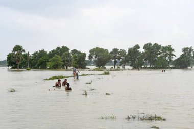 Burdwan, Purba Bardhaman İlçesi, Batı Bengal / Hindistan - 01.08.2021: Purba Bardhaman ilçesinin çeşitli bölgelerinde tarım arazisi yağmurlar ve Banka nehir suları tarafından sular altında kaldı.