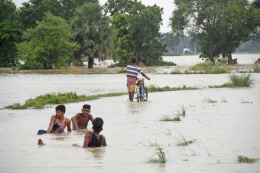 Burdwan, Purba Bardhaman İlçesi, Batı Bengal / Hindistan - 01.08.2021: Purba Bardhaman ilçesinin çeşitli bölgelerinde tarım arazisi yağmurlar ve Banka nehir suları tarafından sular altında kaldı.
