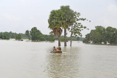 Burdwan, Purba Bardhaman İlçesi, Batı Bengal / Hindistan - 01.08.2021: Purba Bardhaman ilçesinin çeşitli bölgelerinde tarım arazisi yağmurlar ve Banka nehir suları tarafından sular altında kaldı.