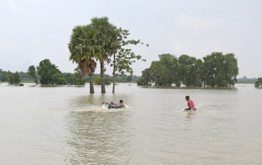 Burdwan, Purba Bardhaman İlçesi, Batı Bengal / Hindistan - 01.08.2021: Purba Bardhaman ilçesinin çeşitli bölgelerinde tarım arazisi yağmurlar ve Banka nehir suları tarafından sular altında kaldı.