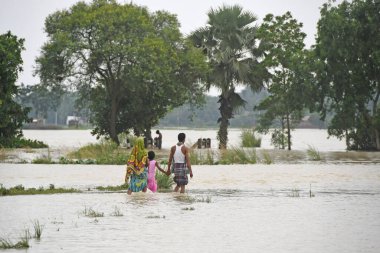 Burdwan, Purba Bardhaman İlçesi, Batı Bengal / Hindistan - 01.08.2021: Purba Bardhaman ilçesinin çeşitli bölgelerinde tarım arazisi yağmurlar ve Banka nehir suları tarafından sular altında kaldı.