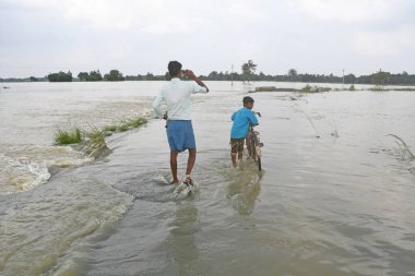 Burdwan, Purba Bardhaman İlçesi, Batı Bengal / Hindistan - 01.08.2021: Purba Bardhaman ilçesinin çeşitli bölgelerinde tarım arazisi yağmurlar ve Banka nehir suları tarafından sular altında kaldı.