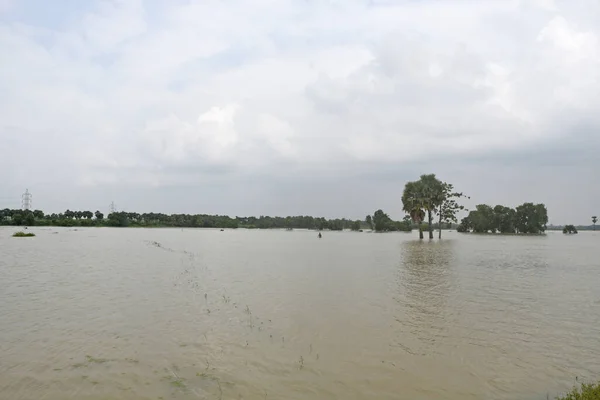 Burdwan Purba Bardhaman District West Bengal India 2021 Agricultural Land — Stock Photo, Image