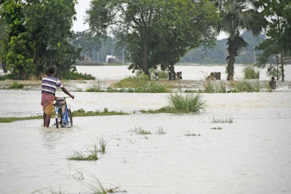 Burdwan, Purba Bardhaman İlçesi, Batı Bengal / Hindistan - 01.08.2021: Purba Bardhaman ilçesinin çeşitli bölgelerinde tarım arazisi yağmurlar ve Banka nehir suları tarafından sular altında kaldı.