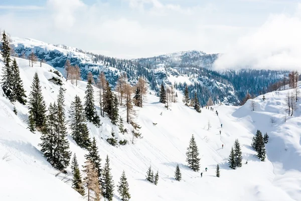 Skiiers bir grup ile kış manzarası. — Stok fotoğraf