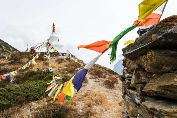 Arka planda stupa bayraklarıyla dua. — Stok fotoğraf