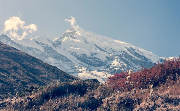 Montagna maestosa coperta di neve . — Foto Stock