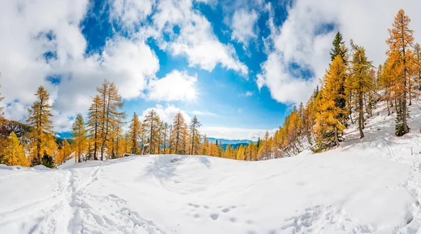 Prachtige lariksburcht omgeven door vroege sneeuw tijdens de herfst. — Stockfoto