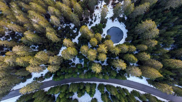 Vista descendente del camino que cruza el bosque de pinos de invierno con un pequeño estanque. —  Fotos de Stock