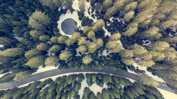 Visão suspensa da estrada que atravessa a floresta de pinheiros de inverno com pequena lagoa. — Fotografia de Stock