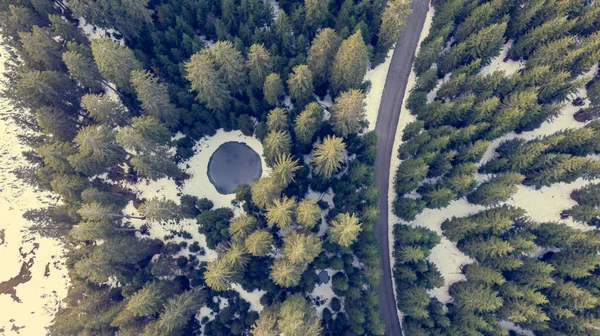 Visão suspensa da estrada que atravessa a floresta de pinheiros de inverno com pequena lagoa. — Fotografia de Stock
