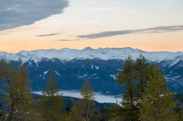 Malerischer Bergwald mit frühem Schnee, der goldene Lärchen bedeckt. — Stockfoto