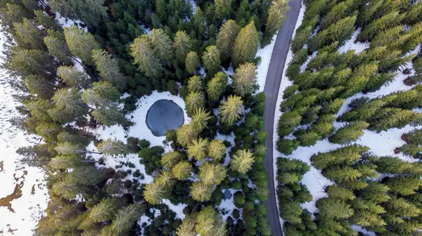 Vista descendente del camino que cruza el bosque de pinos de invierno con un pequeño estanque. —  Fotos de Stock