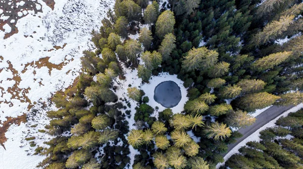 Vista descendente del camino que cruza el bosque de pinos de invierno con un pequeño estanque. —  Fotos de Stock