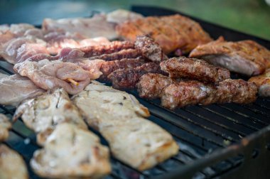 Parkta, açık havada, bbq sobasında pişmiş lezzetli et..