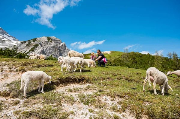 Mother and daughter petting cute sheep in mountain meadow. — Stock Photo, Image