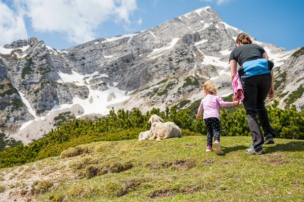 Mãe caminhando com sua filha em direção a ovelhas em repouso. — Fotografia de Stock