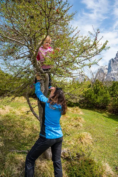 Aktive Mutter hilft ihrer Tochter auf Baum zu klettern. — Stockfoto