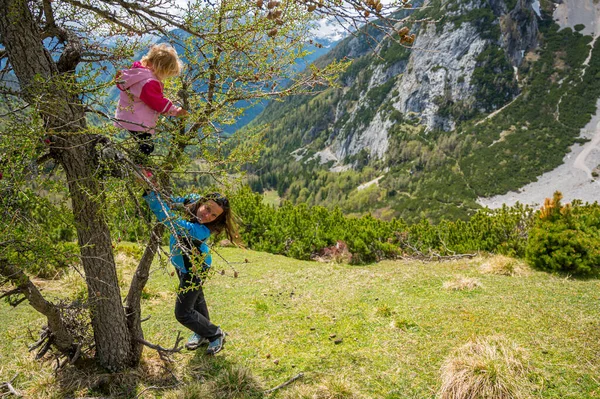 Aktiv mor hjälper sin dotter att klättra i ett träd. — Stockfoto