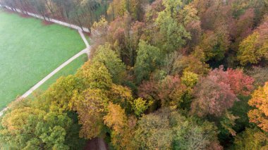Renk değiştirmeye başlayan ağaç tepelerinin görünümünü alçalt.