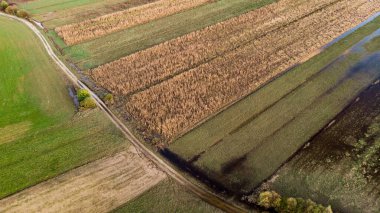 Gün batımında sel basmış tarlaların havadan görüntüsü.